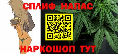 индика Пугачёв