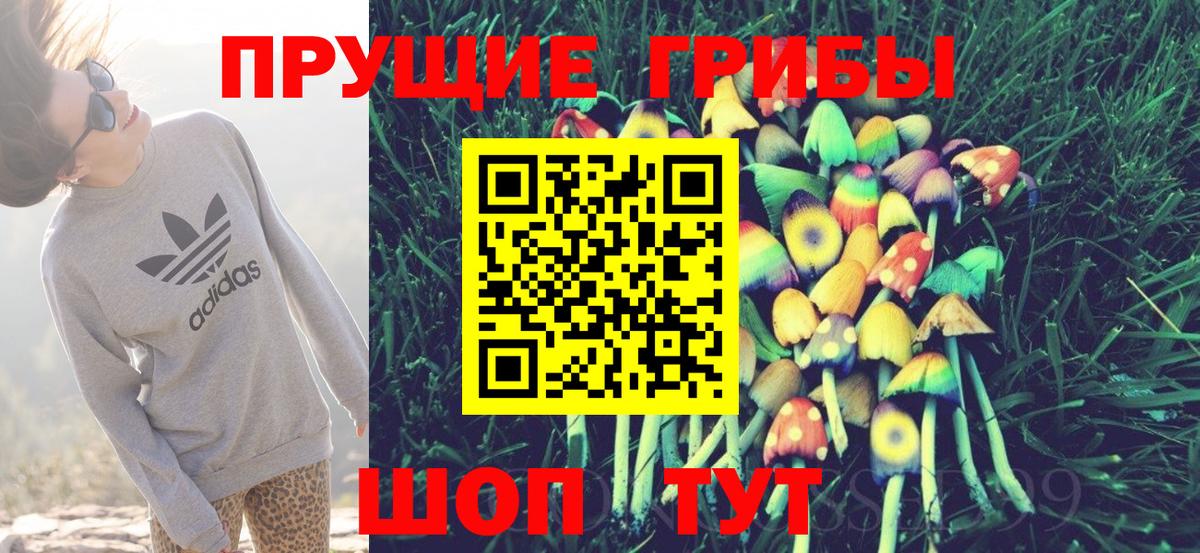 Галлюциногенные грибы GOLDEN TEACHER  Вход с VPN  Реутов 